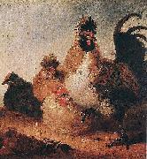 Aelbert Cuyp Rooster and Hens. oil painting artist